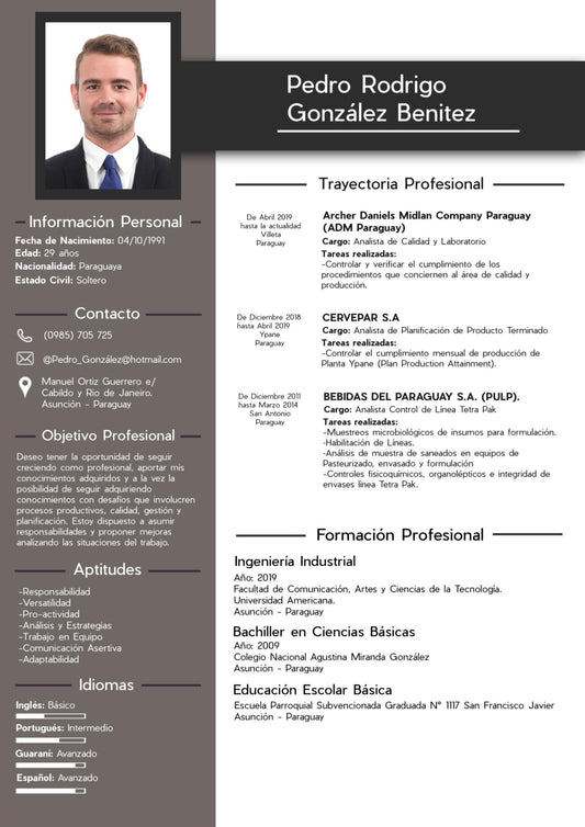 CV Profesional (Masculino)